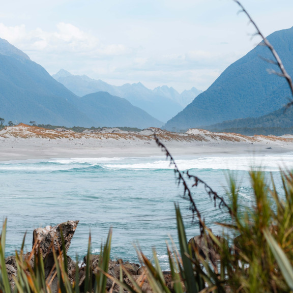 Hollyford 99 LR